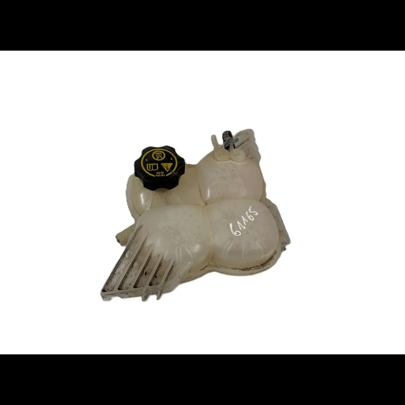 Water Coolant Expansion Tank Reservoir | Daviva